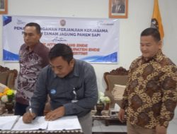 Bank NTT Cabang Ende Dukung Program TJPS, Pemda Ende siapkan Lima Ribu Hektare Lahan